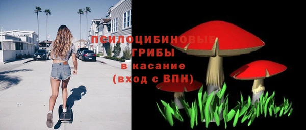 ПСИЛОЦИБИНОВЫЕ ГРИБЫ Балахна
