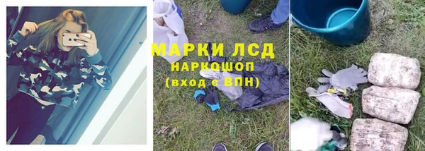 спайс Баксан