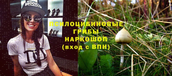 амф Арсеньев