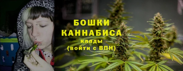 спайс Баксан