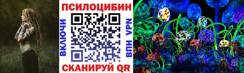 KRAKEN ссылка  Белёв  Галлюциногенные грибы Psilocybine cubensis 