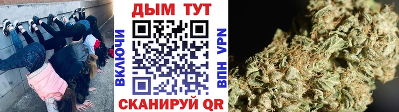kraken ссылки  Белёв  Шишки марихуана Amnesia 